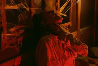 Безумие poster2