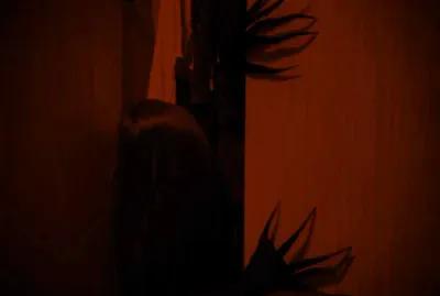И гаснет свет poster4